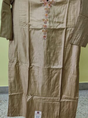 Silk Kurti — Beaded Neckline Embroidery